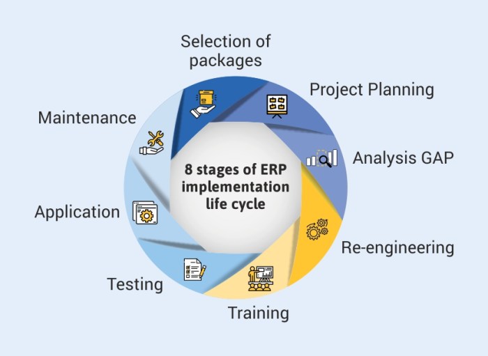 ERP Life Cycle: 8 Stages of ERP Implementation Life Cycle | Tally Solutions
