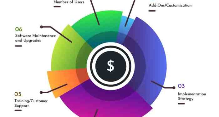 ERP implementation costs. ERP implementation cost breakdown.
