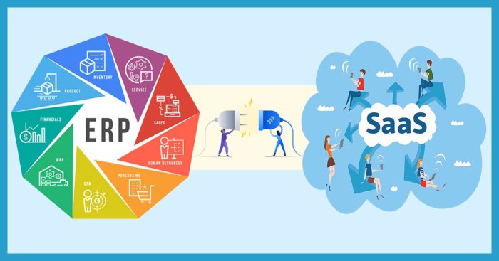 Cómo el ERP en SaaS mitiga los efectos Coronavirus | Apps De Gestión ...
