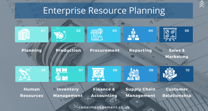 What is Enterprise Resource Planning (ERP) and why do you need it ...