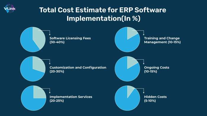 How Much Does ERP Software Implementation Cost