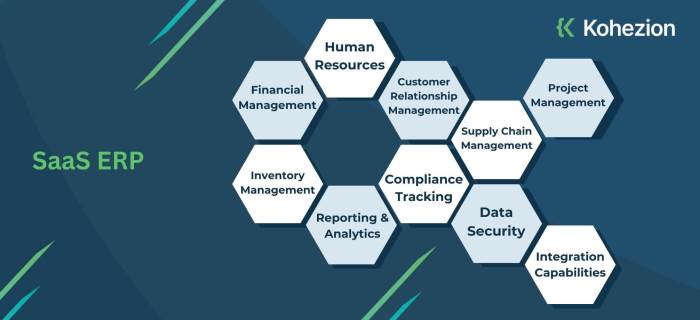 SaaS ERP