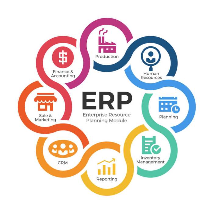 Top 7 Best ERP Software on the market: Newest Updated 2024