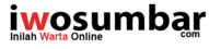 Travels.iwosumbar.com