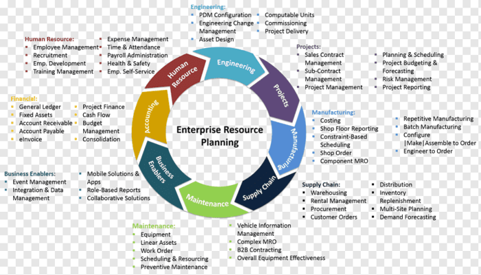 Enterprise resource planning Project management SAP ERP, enterprises ...